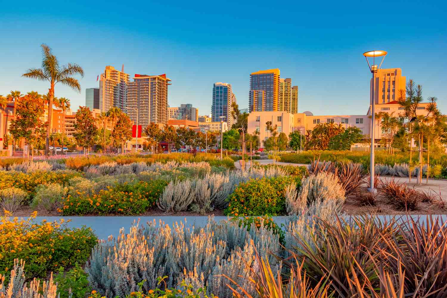Planning Your Perfect Getaway To San Diego: 6 Ways To Make It Work